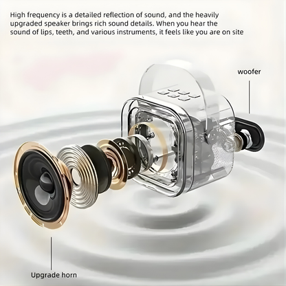 Mini Portable Bluetooth Speaker & Mics