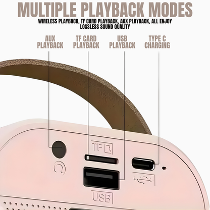 Mini Portable Bluetooth Speaker & Mics